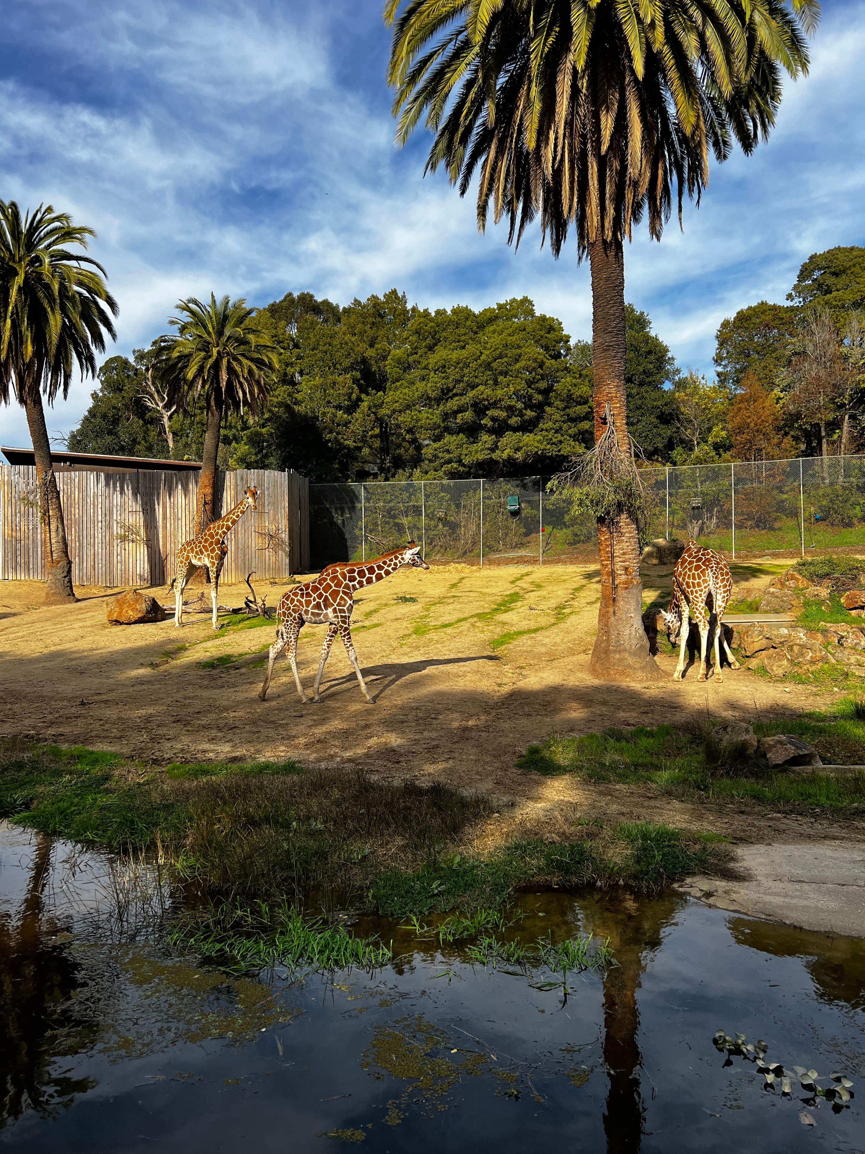 Oakland Zoo