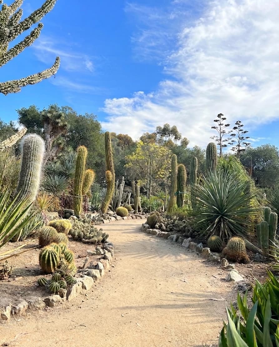 Arizon Garden at Stanford University
