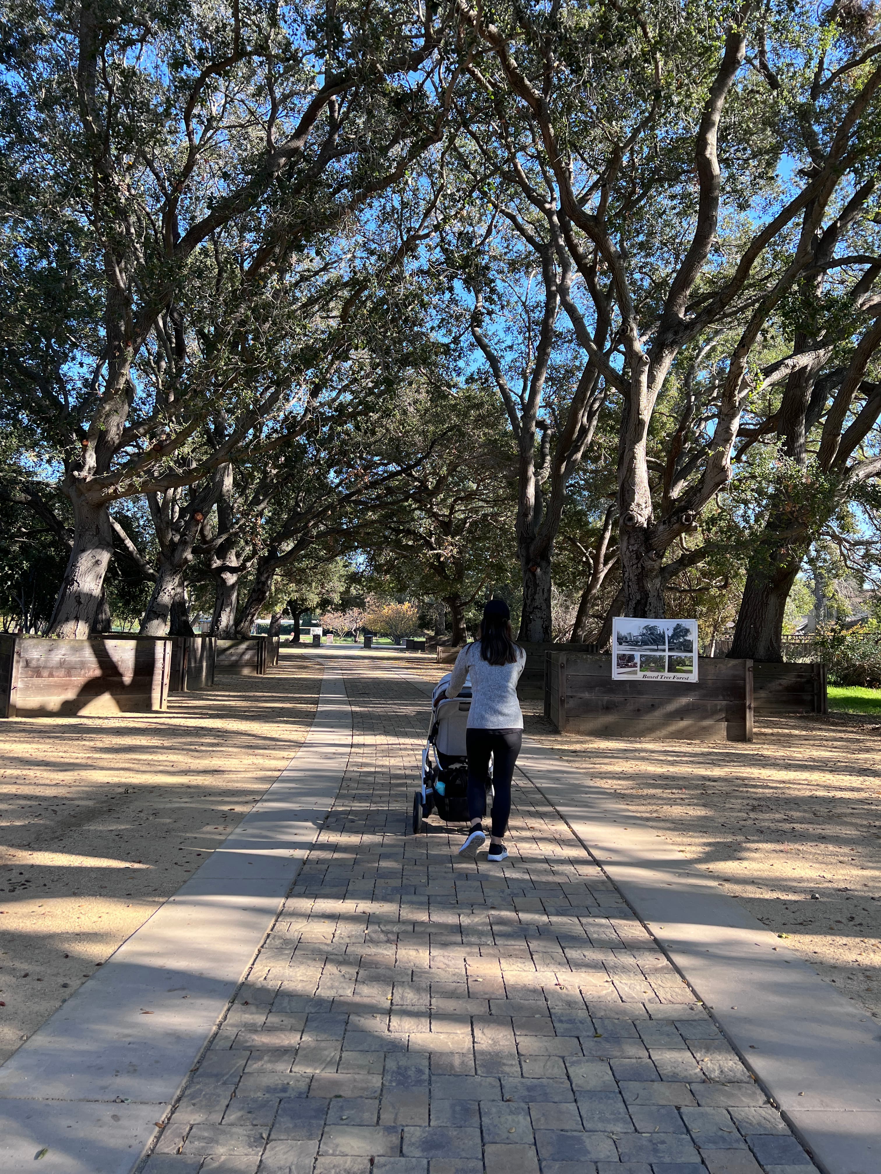 California Nursery Historical Park