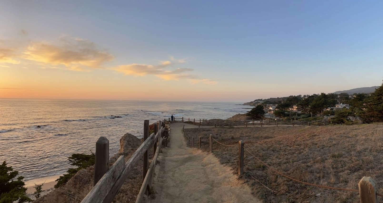 Fitzgerald Marine Reserve & Cypress Tree Tunnel