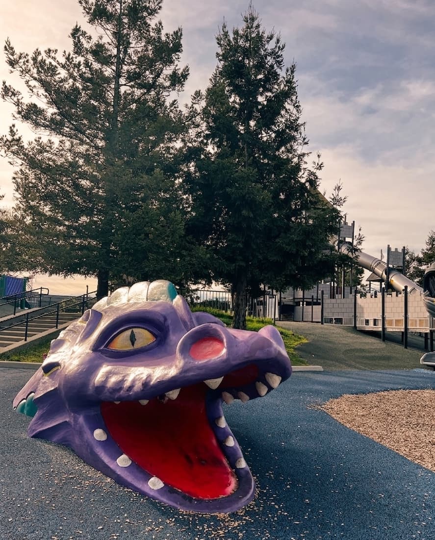 Magic Mountain Playground